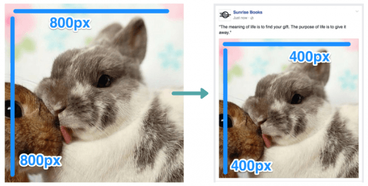 techsignin-kich-thuoc-ly-tuong-khi-tai-anh-len-facebook-va-instagram-4