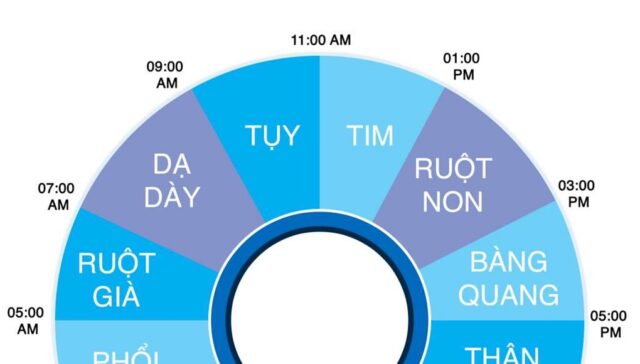 Hiểu hoạt động của cơ thể trong 24 giờ, bạn sẽ rút ra một chế độ ăn uống và ngủ nghỉ hợp lý