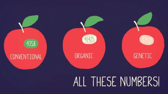 Mã số PLU tiết lộ điều gì về các loại trái cây nhập khẩu? Mã số PLU tiết lộ điều gì về các loại trái cây nhập khẩu?