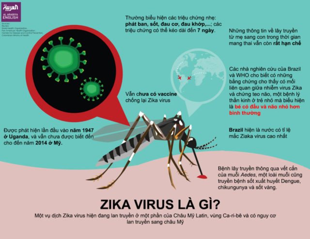 Virus Zika vào Việt Nam, phụ nữ mang thai nên làm gì?