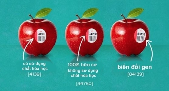 Mã số PLU tiết lộ điều gì về các loại trái cây nhập khẩu?