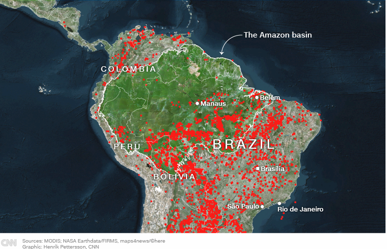 Cháy rừng Amazon ảnh hưởng đến môi trường như thế nào?