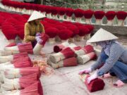 'Làng hương' Việt Nam rực sắc đỏ trước dịp tết Nguyên Đán