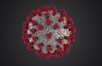 Các loại ốp lưng kháng khuẩn có phòng ngừa virus Corona không?