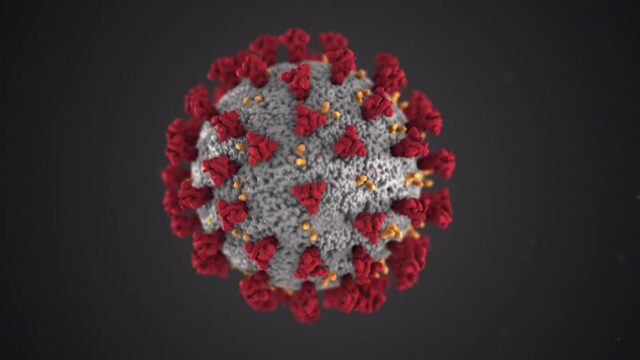 Các loại ốp lưng kháng khuẩn có phòng ngừa virus Corona không? Các loại ốp lưng kháng khuẩn có phòng ngừa virus Corona không?