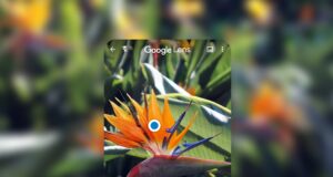 Tìm thông tin, làm việc và học tập thông minh hơn với Google Lens