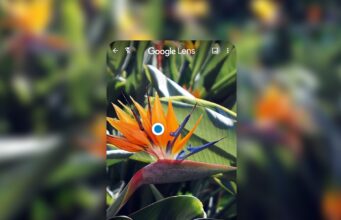 Tìm thông tin, làm việc và học tập thông minh hơn với Google Lens