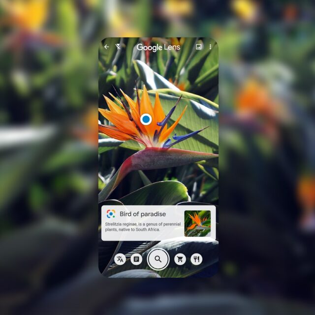Tìm thông tin, làm việc và học tập thông minh hơn với Google Lens Tìm thông tin, làm việc và học tập thông minh hơn với Google Lens