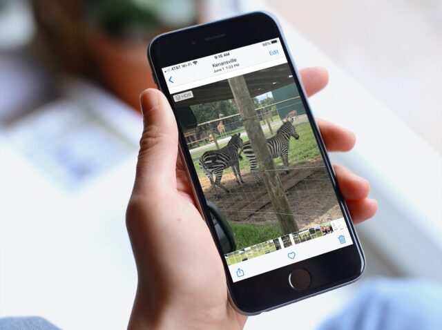 Tắt tính năng tự động phát video và ảnh Live trên iPhone, iPad và máy Mac Tắt tính năng tự động phát video và ảnh Live trên iPhone, iPad và máy Mac