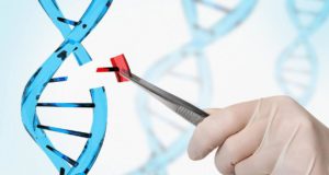 Anh thử nghiệm xét nghiệm DNA chẩn đoán nguy cơ bệnh tim