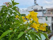 Ảnh chụp từ Galaxy Z Flip3 5G