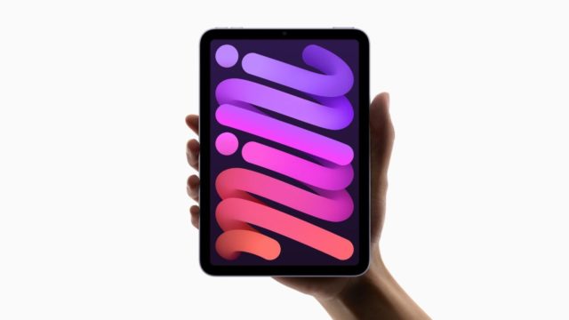 Apple: màn hình iPad mini 6 'cuộn thạch' không phải là lỗi