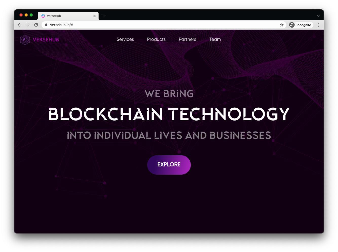 VerseHub: Startup vũ trụ ảo của Việt Nam được đầu tư 1 triệu USD