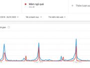 Người Việt tìm kiếm gì vào Tết Nhâm Dần 2022?