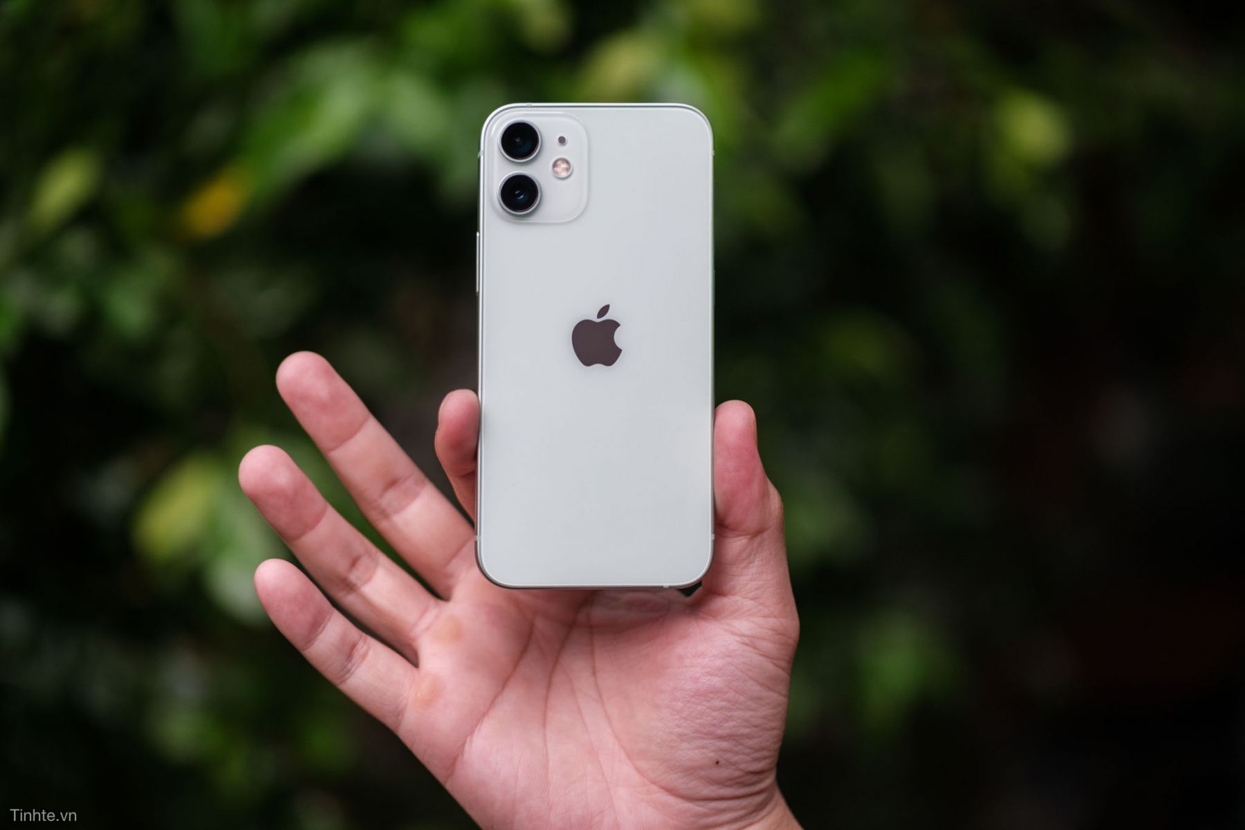Phiên bản iPhone 14 màn hình lớn hứa hẹn tạo cú huých doanh số Phiên bản iPhone 14 màn hình lớn hứa hẹn tạo cú huých doanh số