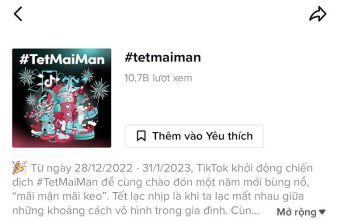 Những xu hướng hàng đầu tháng 12/2022 và tháng 1/2023 trên TikTok