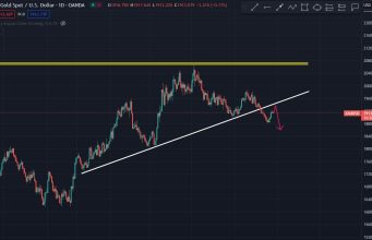 Vantage Vietnam nói về tổng quan thị trường tài chính tháng 8 và dự đoán thị trường tháng 9/2023