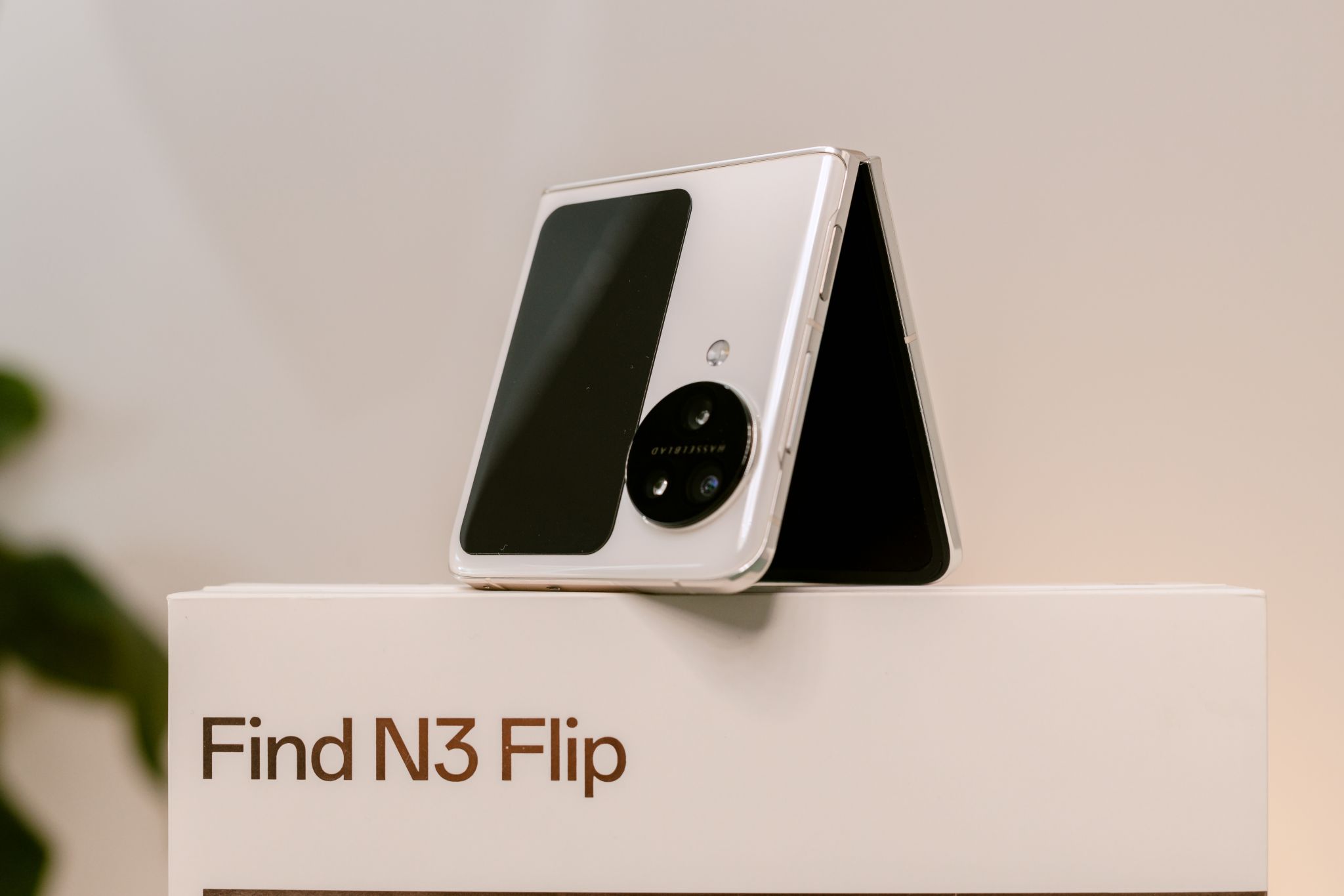 Di Động Việt nhận đặt trước OPPO Find N3 series ưu đãi lên đến 14,5 triệu đồng 223417-di-dong-viet-oppo-find-n3-series-uu-dai