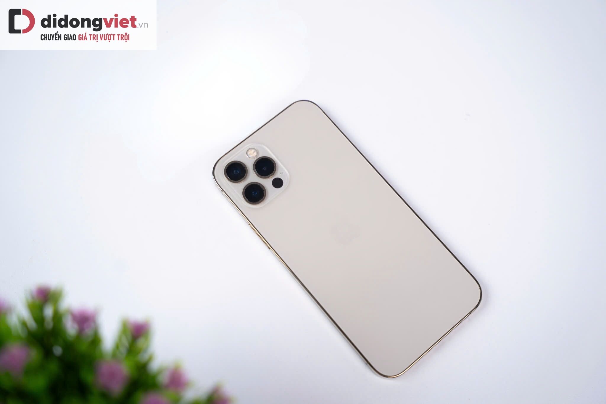 Top iPhone cũ liên tục cháy hàng nhờ giá hời, hiệu năng đỉnh Top iPhone cũ liên tục cháy hàng nhờ giá hời, hiệu năng đỉnh