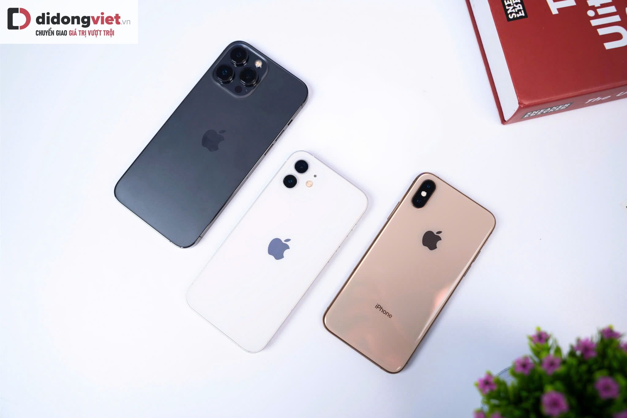 Top iPhone cũ liên tục cháy hàng nhờ giá hời, hiệu năng đỉnh Top iPhone cũ liên tục cháy hàng nhờ giá hời, hiệu năng đỉnh