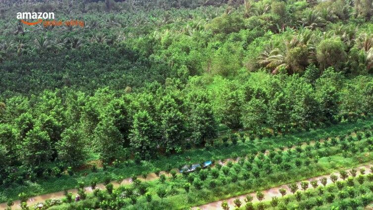 VINUT: mang tinh túy nông sản Việt chinh phục thế giới qua Amazon VINUT: mang tinh túy nông sản Việt chinh phục thế giới qua Amazon