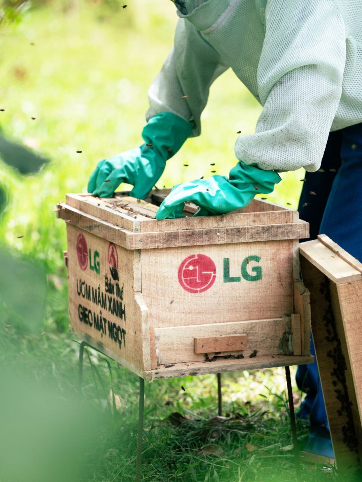 LG triển khai chương trình đại sứ cộng đồng LG 2025 tại Vườn Quốc gia Bến En, tỉnh Thanh Hóa LG chính thức triển khai chương trình đại sứ cộng đồng LG 2025 tại Vườn Quốc gia Bến En, tỉnh Thanh Hóa