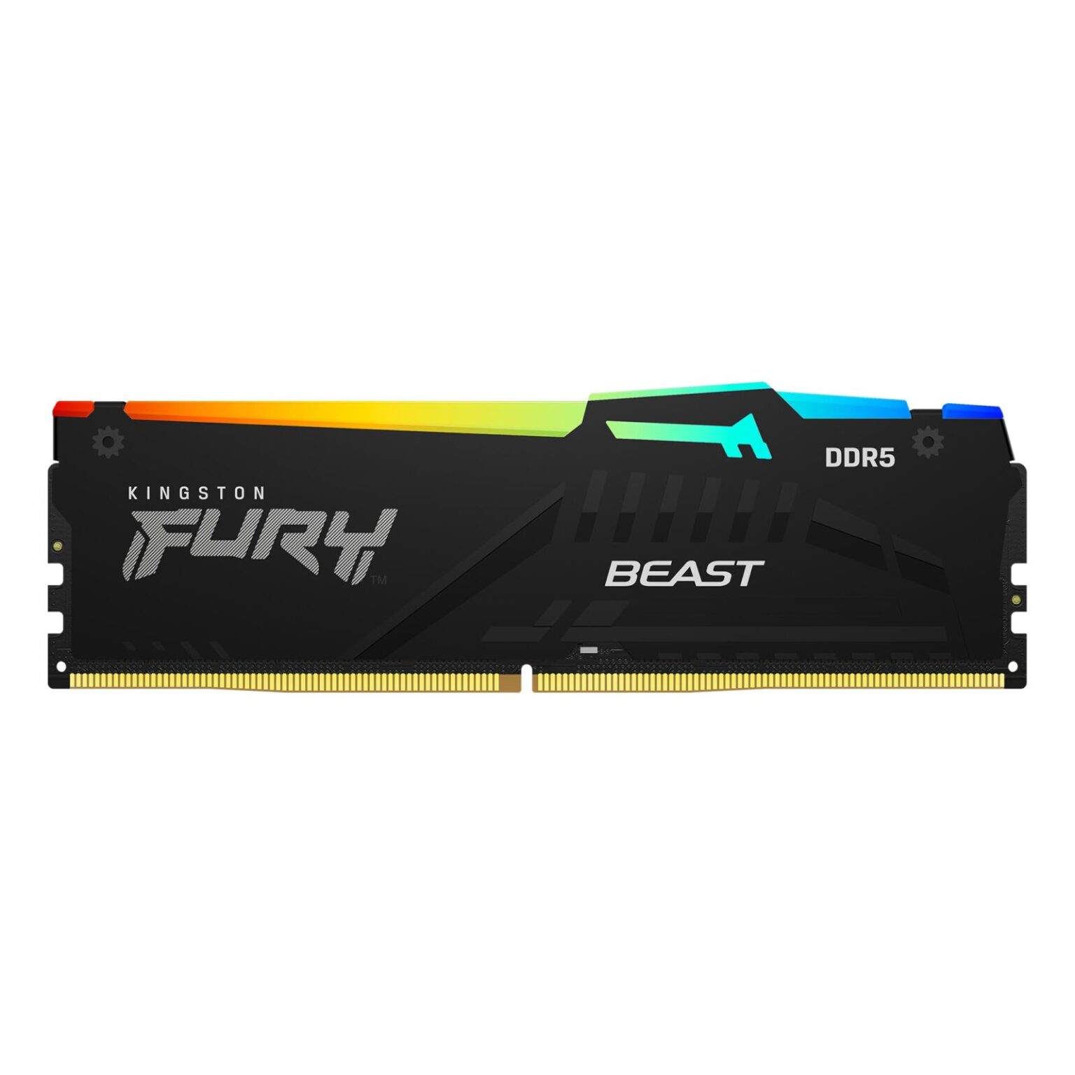 Nâng bước sinh viên: Mỗi nâng cấp, một bước tiến cùng Kingston Technology