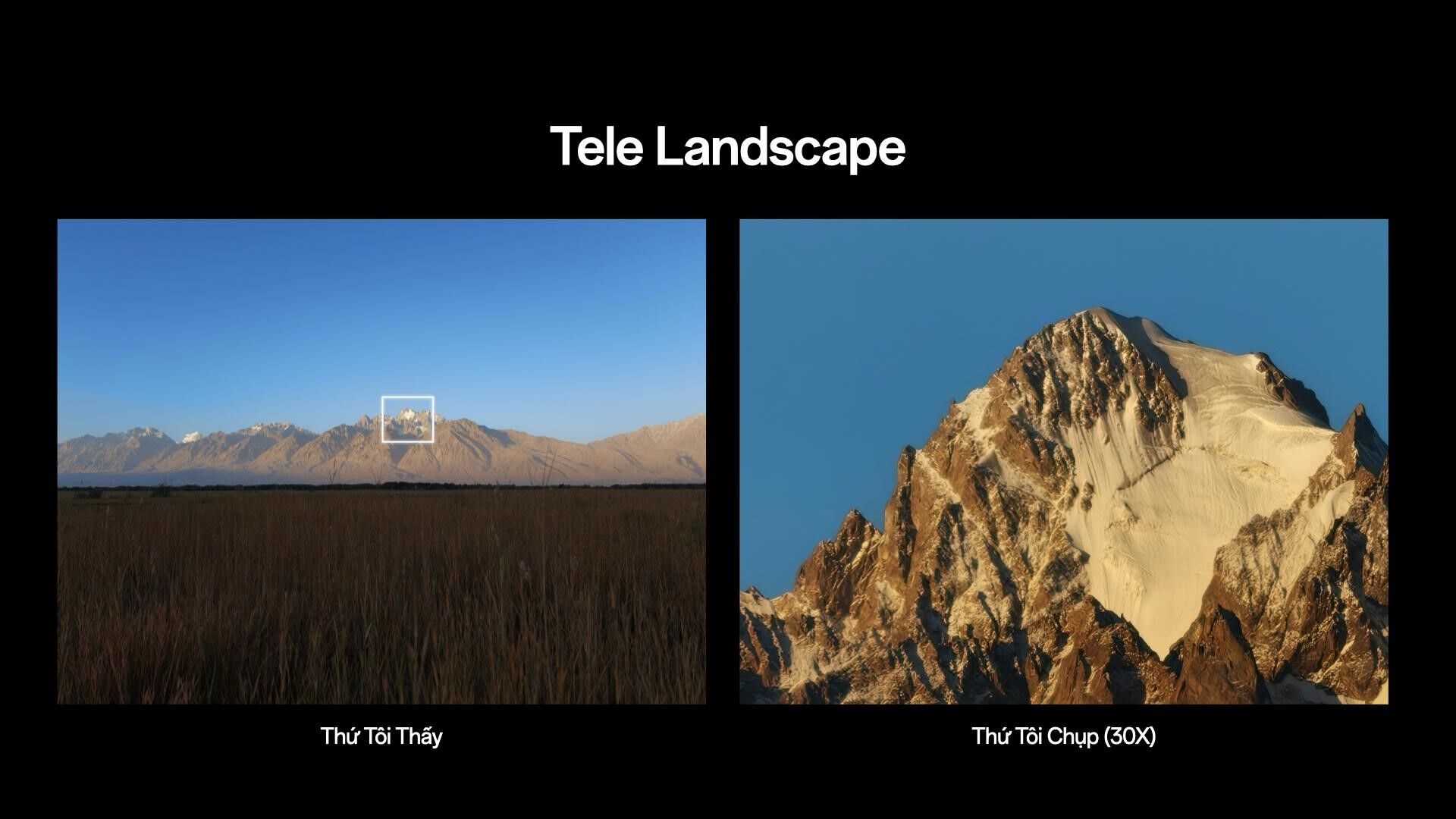 OPPO Find X9 Series ra mắt, giá từ 23 triệu đồng OPPO Find X9 Series chính thức ra mắt tại Việt Nam: Thiết lập chuẩn mực flagship toàn diện với Camera Hasselblad 200MP và Pin Silicon Carbon dung lượng 7500mAh