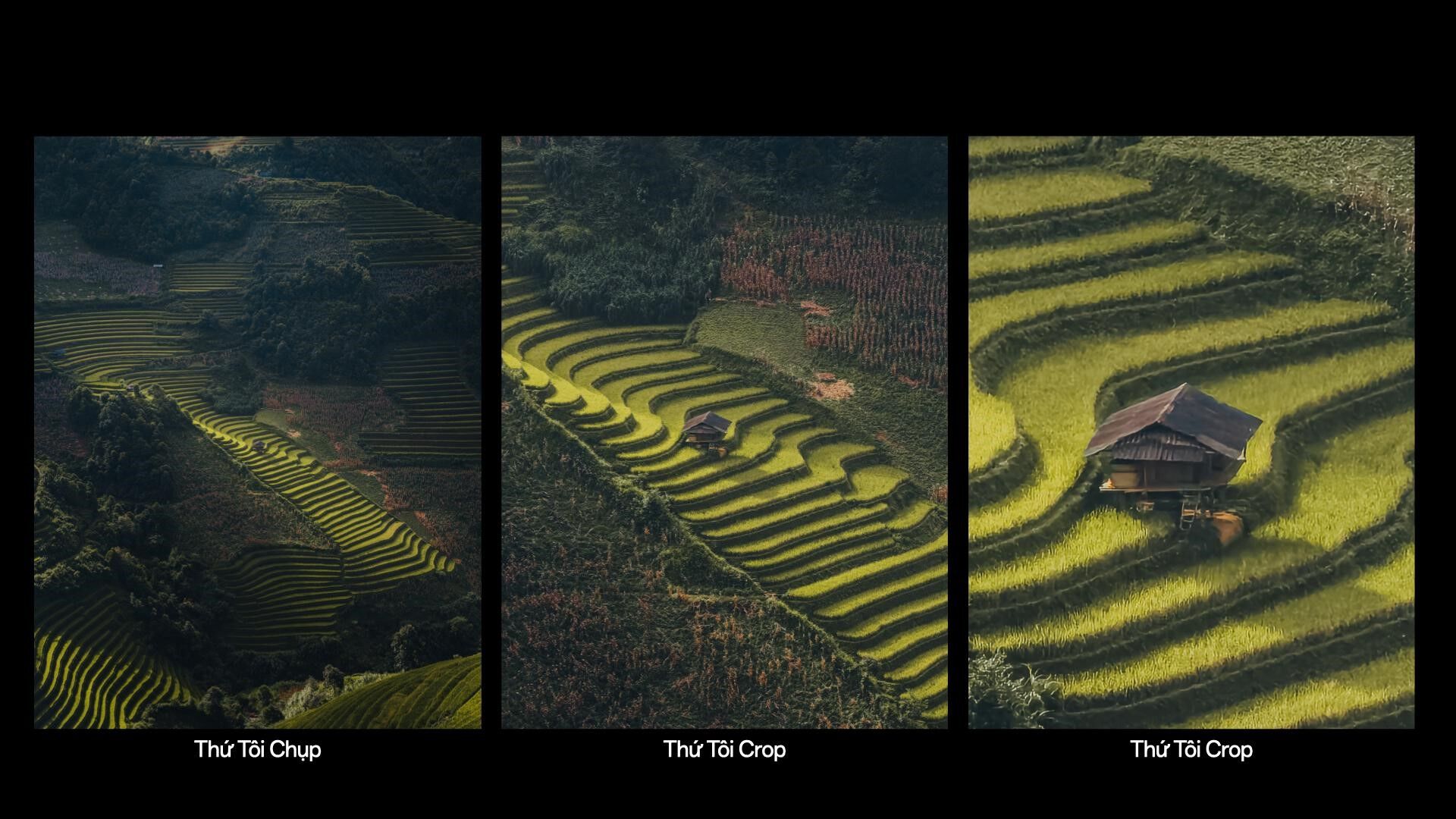 OPPO Find X9 Series ra mắt, giá từ 23 triệu đồng OPPO Find X9 Series chính thức ra mắt tại Việt Nam: Thiết lập chuẩn mực flagship toàn diện với Camera Hasselblad 200MP và Pin Silicon Carbon dung lượng 7500mAh