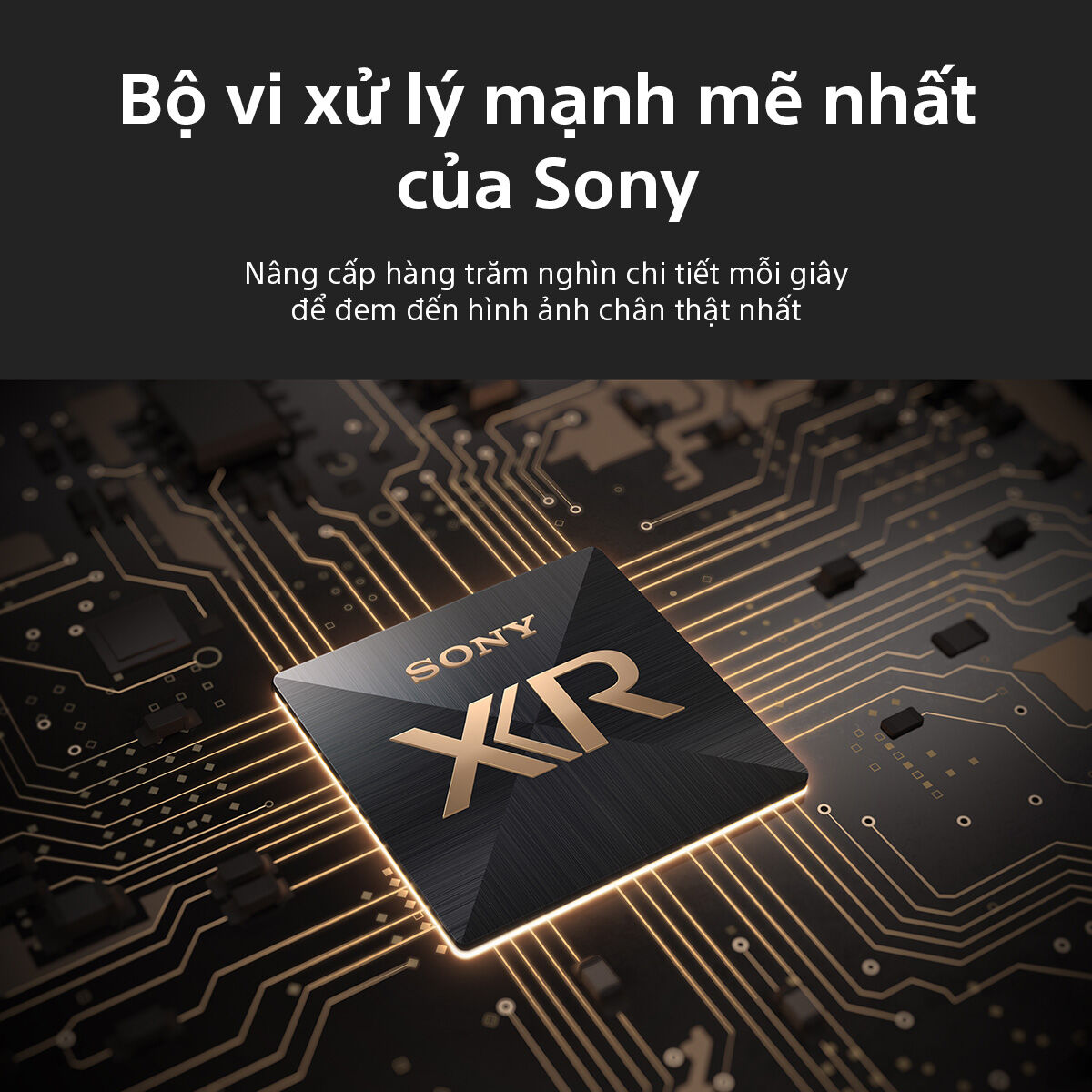TV chuẩn rạp phim Sony BRAVIA 8 II lên ngôi “King of TV 2025”