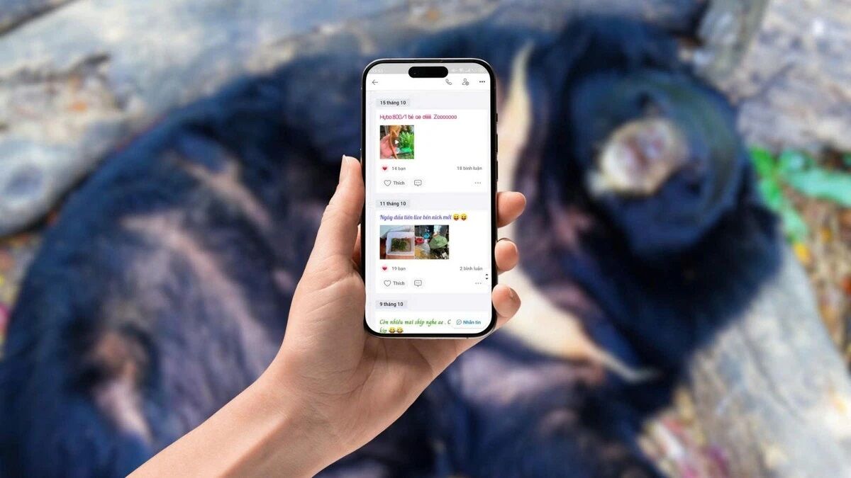 Zalo chung tay ngăn ngừa buôn bán động vật hoang dã trên không gian mạng Zalo chung tay ngăn ngừa buôn bán động vật hoang dã trên không gian mạng