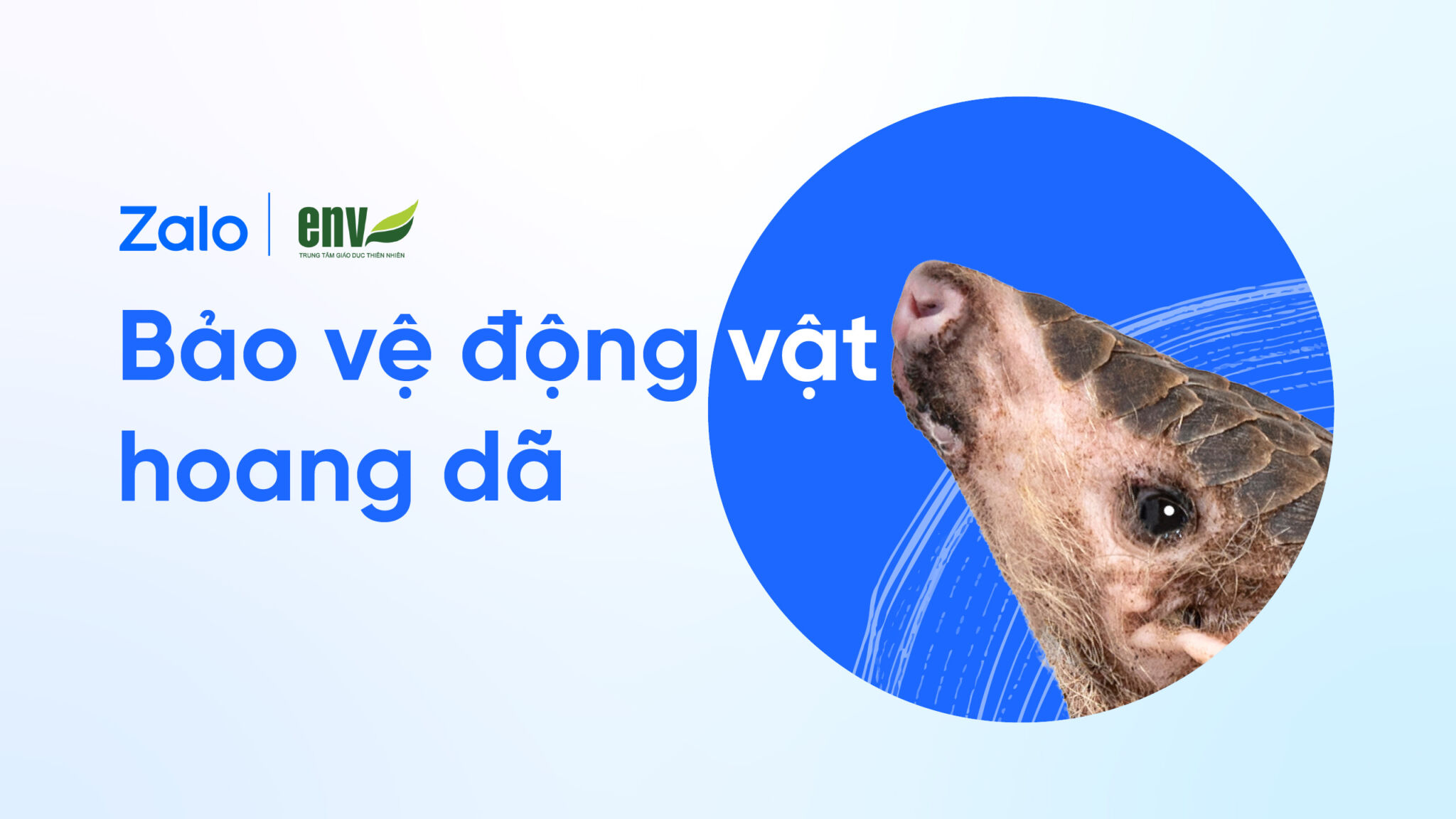 Zalo chung tay ngăn ngừa buôn bán động vật hoang dã trên không gian mạng Zalo chung tay ngăn ngừa buôn bán động vật hoang dã trên không gian mạng