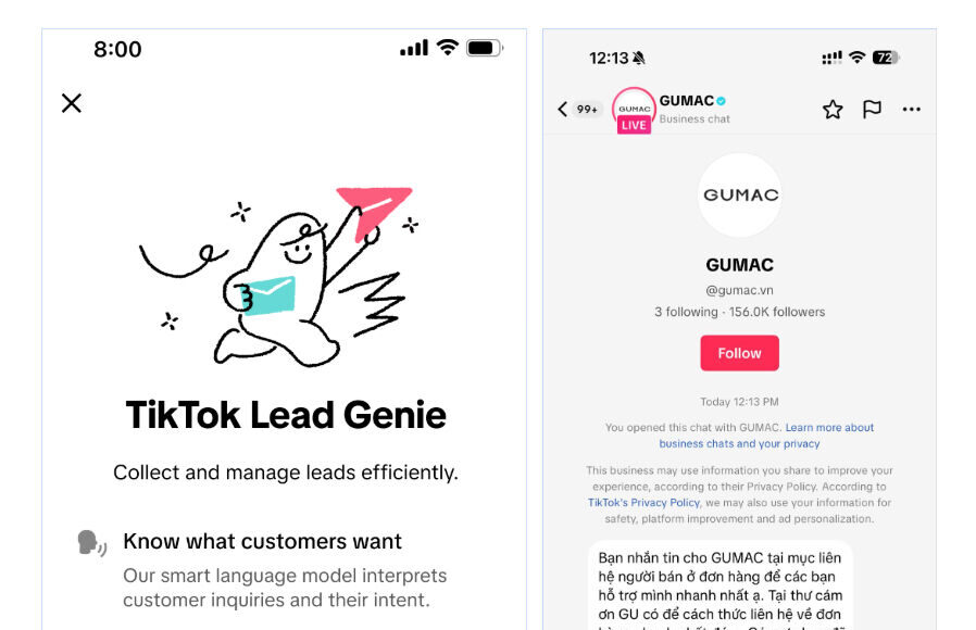 tiktok-ra-mat-chatbot-ai