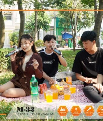 Điểm danh những mẫu loa SoundMax chơi dịp Giáng sinh và Tết Bính Ngọ