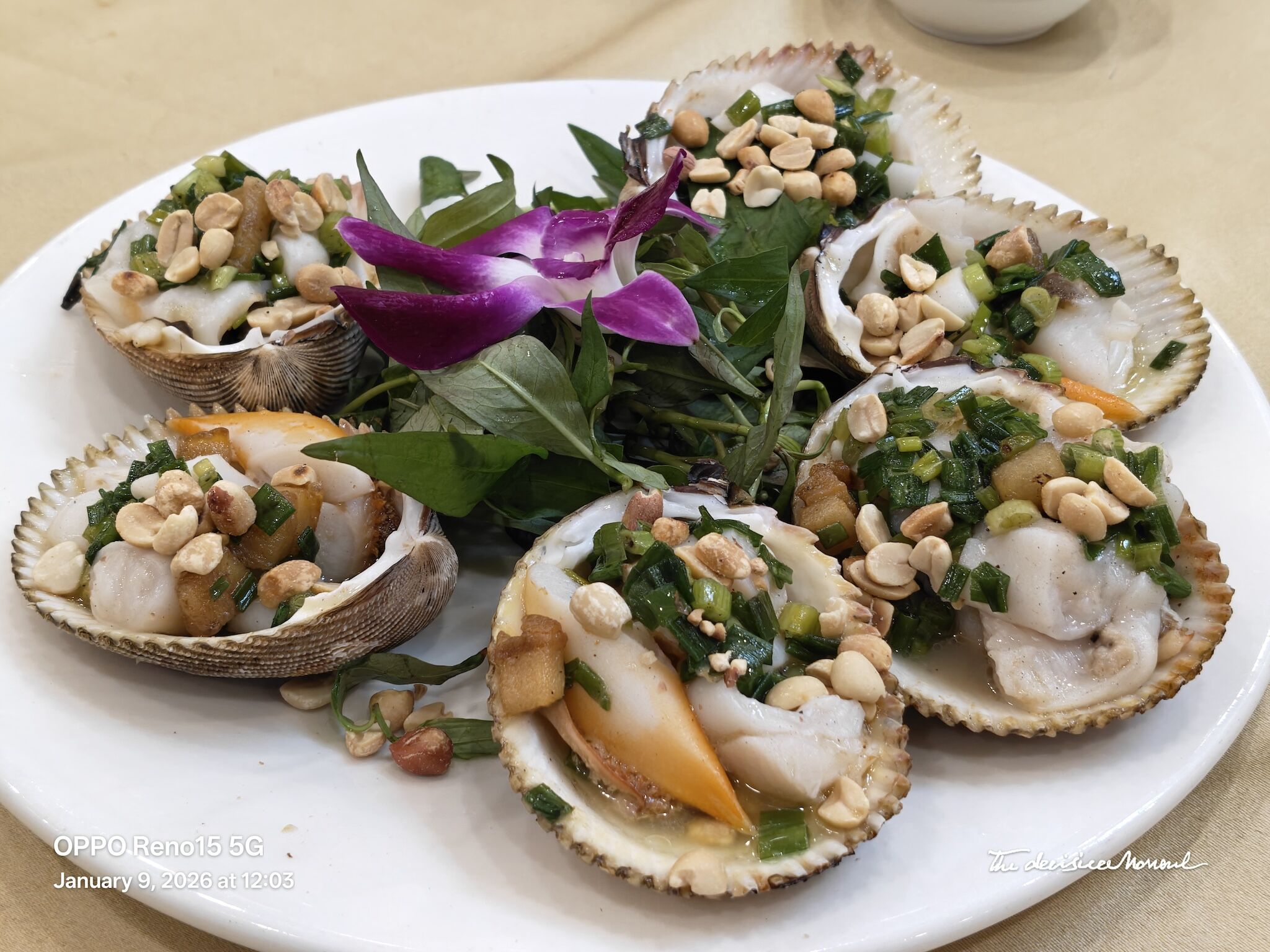 OPPO Reno15 5G: Camera chụp đẹp, AI đa năng, pin tốt OPPO Reno15 5G: Camera chụp đẹp, AI đa năng, pin tốt