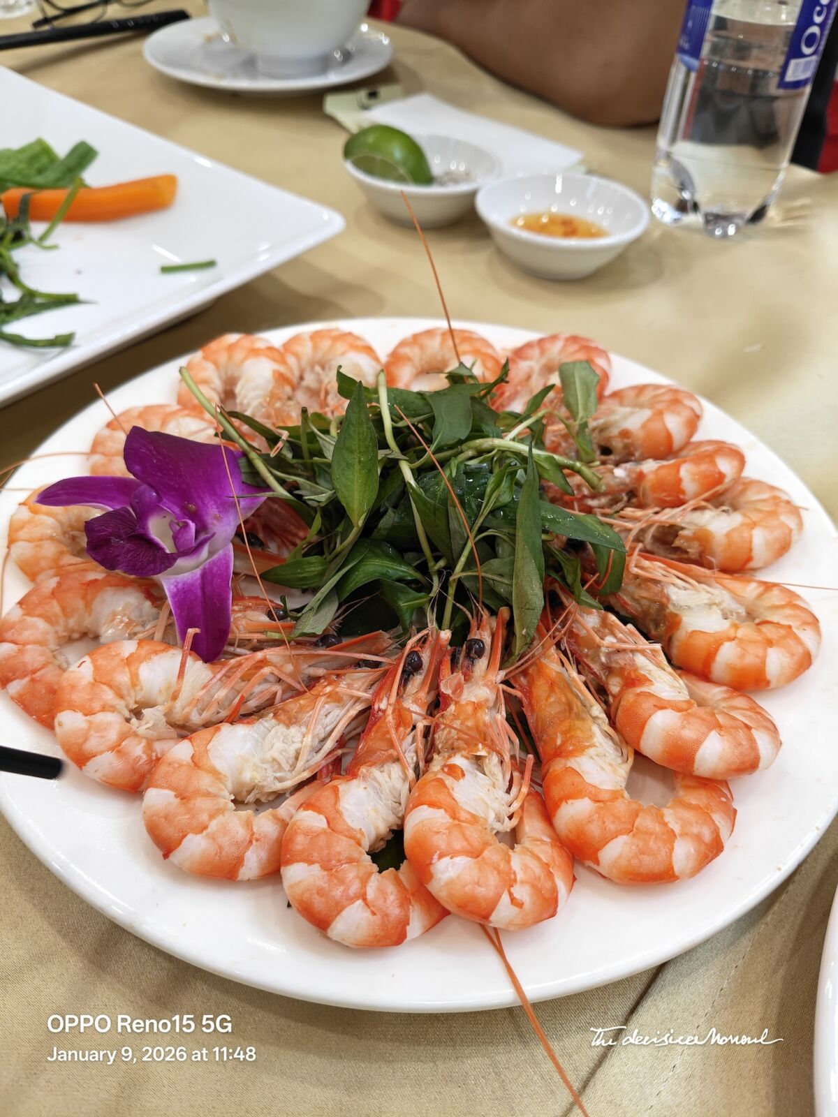 OPPO Reno15 5G: Camera chụp đẹp, AI đa năng, pin tốt OPPO Reno15 5G: Camera chụp đẹp, AI đa năng, pin tốt