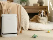 Levoit ra mắt Máy lọc không khí Levoit Vital Pet Pro – giải pháp thông minh dành cho nhà nuôi thú cưng