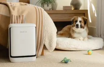 Levoit ra mắt Máy lọc không khí Levoit Vital Pet Pro – giải pháp thông minh dành cho nhà nuôi thú cưng