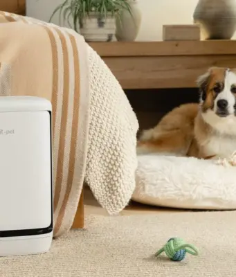 Levoit ra mắt Máy lọc không khí Levoit Vital Pet Pro – giải pháp thông minh dành cho nhà nuôi thú cưng